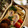 ガメコ's cooksnap of when they made 玉子焼き☆ハムを巻いて☆.