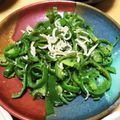 豆乳pudding's cooksnap of when they made めんつゆで簡単★しらすピーマン.