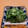 もんしゅしゅ's cooksnap of when they made 今が旬！ご飯にもお酒にも合う胡瓜わさび漬.