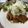 tamaml's cooksnap of when they made マレーシア風焼き鳥.