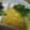 凪なぎ's cooksnap of when they made かぼちゃと玉ねぎで✿ずぼらサラダ.