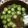 ちゃぎー's cooksnap of when they made 夏野菜★ おくらのお味噌汁.