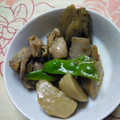 まりゆりひろこ's cooksnap of when they made □■我が家の鶏ごぼう■□.