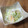 やなぎだまこ's cooksnap of when they made 新食感♪簡単 柿とキャベツのサラダ.