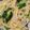 くーこぷ's cooksnap of when they made 海老とほうれん草のクリームパスタ.