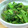 きっかママ's cooksnap of when they made 簡単☆お弁当にも！小松菜のおかか和え.