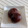 クック282HRS☆'s cooksnap of when they made 栗の渋皮煮.