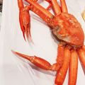 ♦︎くぅ〜こ♦︎'s cooksnap of when they made カニのさばき方.