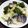 クックDOA5IC☆'s cooksnap of when they made きのう何食べた○あさりとキャベツの蒸し煮.