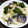 クックDOA5IC☆'s cooksnap of when they made きのう何食べた○あさりとキャベツの蒸し煮.
