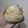 みみ母's cooksnap of when they made 秋☆サツマイモの炊き込みごはん.