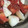葉月優希's cooksnap of when they made 旬の桃で♡桃とプチトマトの白だしサラダ♪.