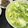 ※ぴーまん's cooksnap of when they made サッと簡単！豆苗と豆腐の具沢山スープ.