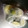 クックGGLXTL☆'s cooksnap of when they made すだちの保存.