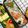 ゆづキッチン's cooksnap of when they made お弁当☆ハーフ＆ハーフごはん.