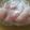 リトル黒豆マーメイド's cooksnap of when they made *酢漬け鶏*.