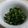 naocolin's cooksnap of when they made セロリの葉っぱの和え物.