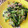 優木星's cooksnap of when they made 小松菜とツナの炒めるだけ一品〜❀.