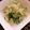 こずっぺ's cooksnap of when they made グレイシーソルト塩だれサラダ.