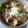 下町ＫＡＮＡＫＯ's cooksnap of when they made 簡単♪豚丼.