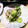 りゅー✩'s cooksnap of when they made きのことキュウリの梅和え.