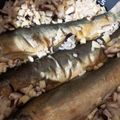 クックDAHLIA☆'s cooksnap of when they made 峠の釜めし土鍋で鮎釜めし.