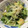 なつっこりー's cooksnap of when they made 汁まで楽しむ！水菜とえのきの塩味お浸し.