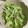 クック3S4JX4☆'s cooksnap of when they made 簡単！うちの子が大好き水菜の梅マヨ和え♪.