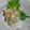 クック1WVJEK☆'s cooksnap of when they made おつまみ●あじのたたきすぎ、ほぼなめろう.