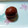 うぇんほい's cooksnap of when they made もっちり栗の渋皮煮.