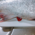 ドラエミ's cooksnap of when they made 魚屋さん簡単秋鮭捌き方から筋子取り出し方.