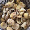 クックS96QIQ☆'s cooksnap of when they made 超・簡単栗ご飯by圧力鍋.