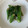クックBHU7ME☆'s cooksnap of when they made ほうれん草とオクラのごま和え.