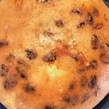 クックMPSQ4U☆'s cooksnap of when they made 炊飯器で簡単もっちりヨーグルトケーキ.