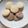 くっきーむすめ's cooksnap of when they made サラダ油で☆簡単さくほろシュガークッキー.