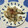 おはなすき's cooksnap of when they made 豚シソと薄切り蓮根炒めカロリー控えめ.