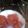 ぱんぐー♪'s cooksnap of when they made 簡単！和梨の白ワインコンポート.
