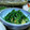 MEGuREEN's cooksnap of when they made おかひじきとお揚げの辛子醤油和え.