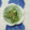おはなすき's cooksnap of when they made ♡きゅうりととろろ昆布の生姜和え♡.