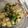 クックZ8J4H4☆'s cooksnap of when they made じゃがいもとインゲンのツナごま和え.