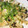 クックVOY1Q3☆'s cooksnap of when they made 簡単！ささ身としめじのマヨマスタード炒め.