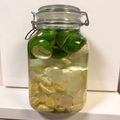 rriioo's cooksnap of when they made すだち酒.