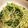 クック38MGIR☆'s cooksnap of when they made 味つけ不要！オイルサーディンのパスタ.