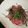 rink@'s cooksnap of when they made 塩麹漬けマグロ丼★.