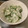 chou*'s cooksnap of when they made 簡単5分置くだけ☆大根とごま大葉の漬物.