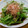 プルンバゴ's cooksnap of when they made 蒸し暑い季節のお弁当に♡いんげん和え物.