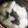 ねこのガストン's cooksnap of when they made 固い大根を柔らかく煮る方法.