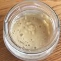 ボブナナ's cooksnap of when they made ホシノ天然酵母の起こし方～ホシノ生種～.