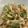 okchisako's cooksnap of when they made さっぱりな鶏皮きゅうり【作り置きにも】.