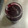 mishiママ's cooksnap of when they made 皮も種も簡単ぶどうジャム★.
